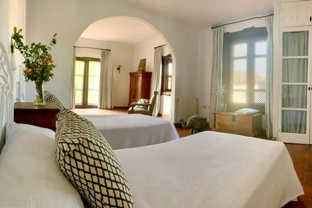 Un Autentico Oasis Rodeado De Historia Ronda Zewnętrze zdjęcie